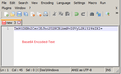 2. Result- Base64 Encoded Text